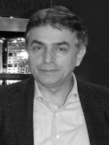 Vice Chairman of the Board of Directors